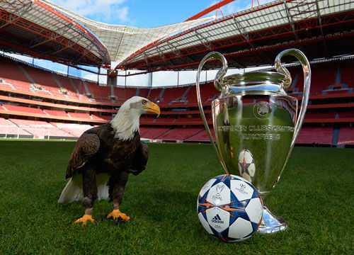 一度将比分 一度将比分