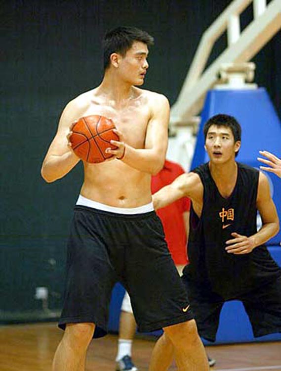 食和高效锻 食和高效锻