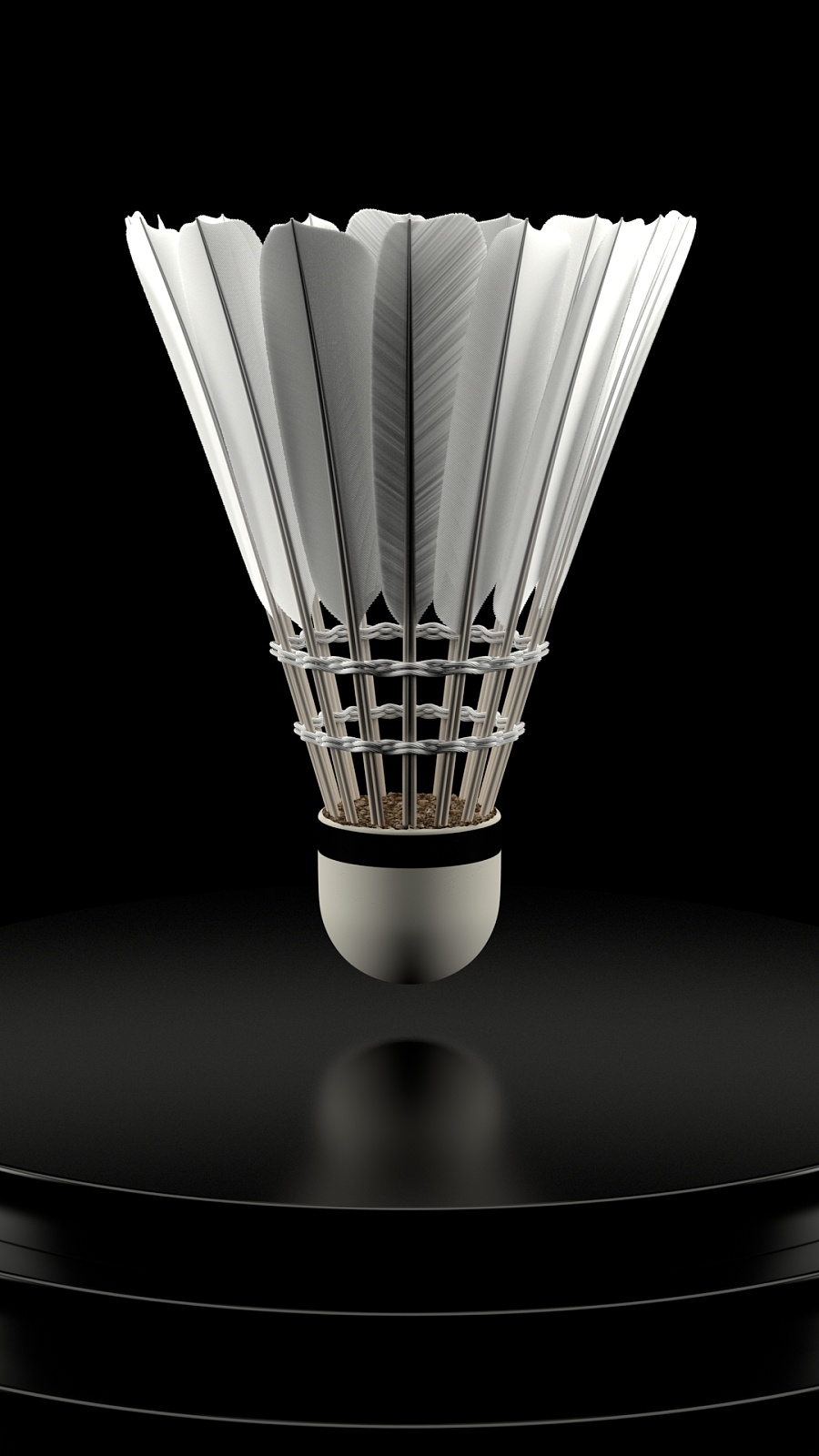 仅是偶然的 仅是偶然的